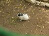 DSCN3436.JPG
