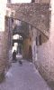 Filename=rhodes05s.jpg
Filesize=16KiB
Dimensions=165x272
Date added=Jan 08, 2006 rhodes05s.jpg