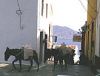 Filename=simi04s.jpg
Filesize=9KiB
Dimensions=165x126
Date added=Feb 02, 2006 simi04s.jpg